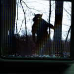 cryptid doc Dogman