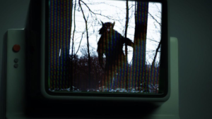 cryptid doc Dogman