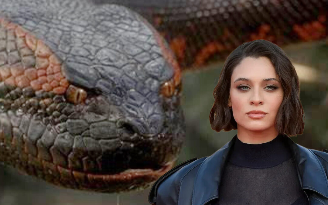 Paul Rudd and Jack Black’s ‘Anaconda’ Reveals New Cast Members