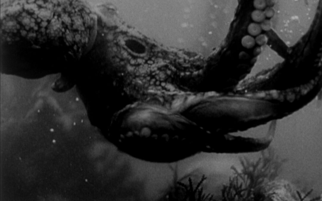 Give the Gift of Roger Corman’s ‘Monster from the Ocean Floor’ In 4K This Valentine’s Day