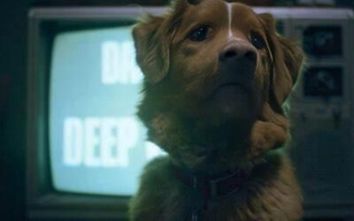 New Horror Film ‘Good Boy’ is Told from a Dog’s Perspective