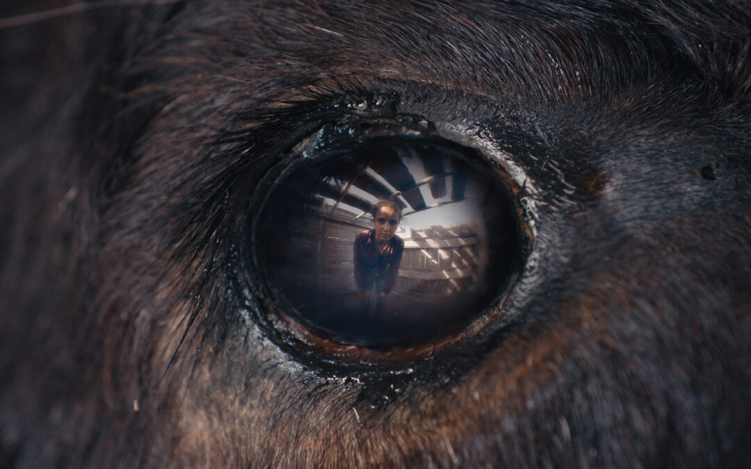 Spoiler-Free Review: ANIMALE (Jeonju International Film Festival) 
