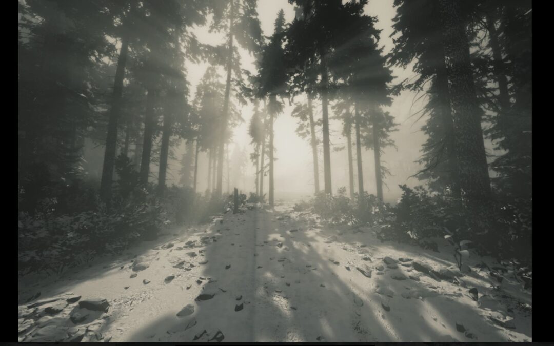 Game Review: ‘Lushfoil Photography Sim’
