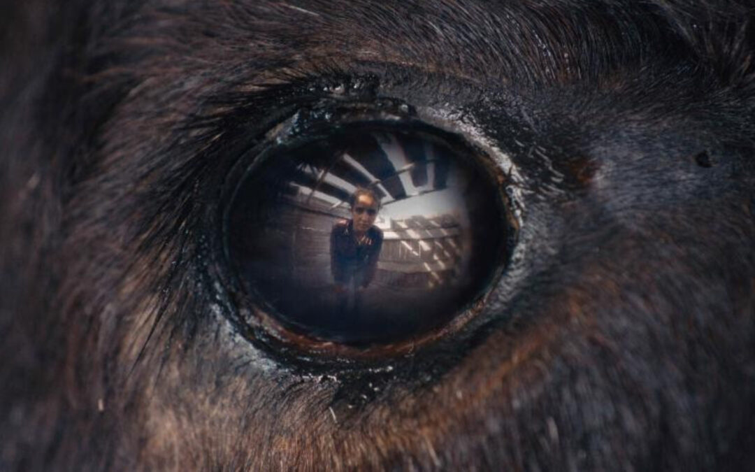 Bulls and Blood: New Body Horror ‘Animale’ Coming to VOD and Digital