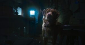 Good Boy