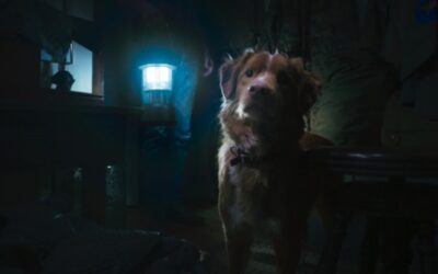 Movie Review: Good Boy