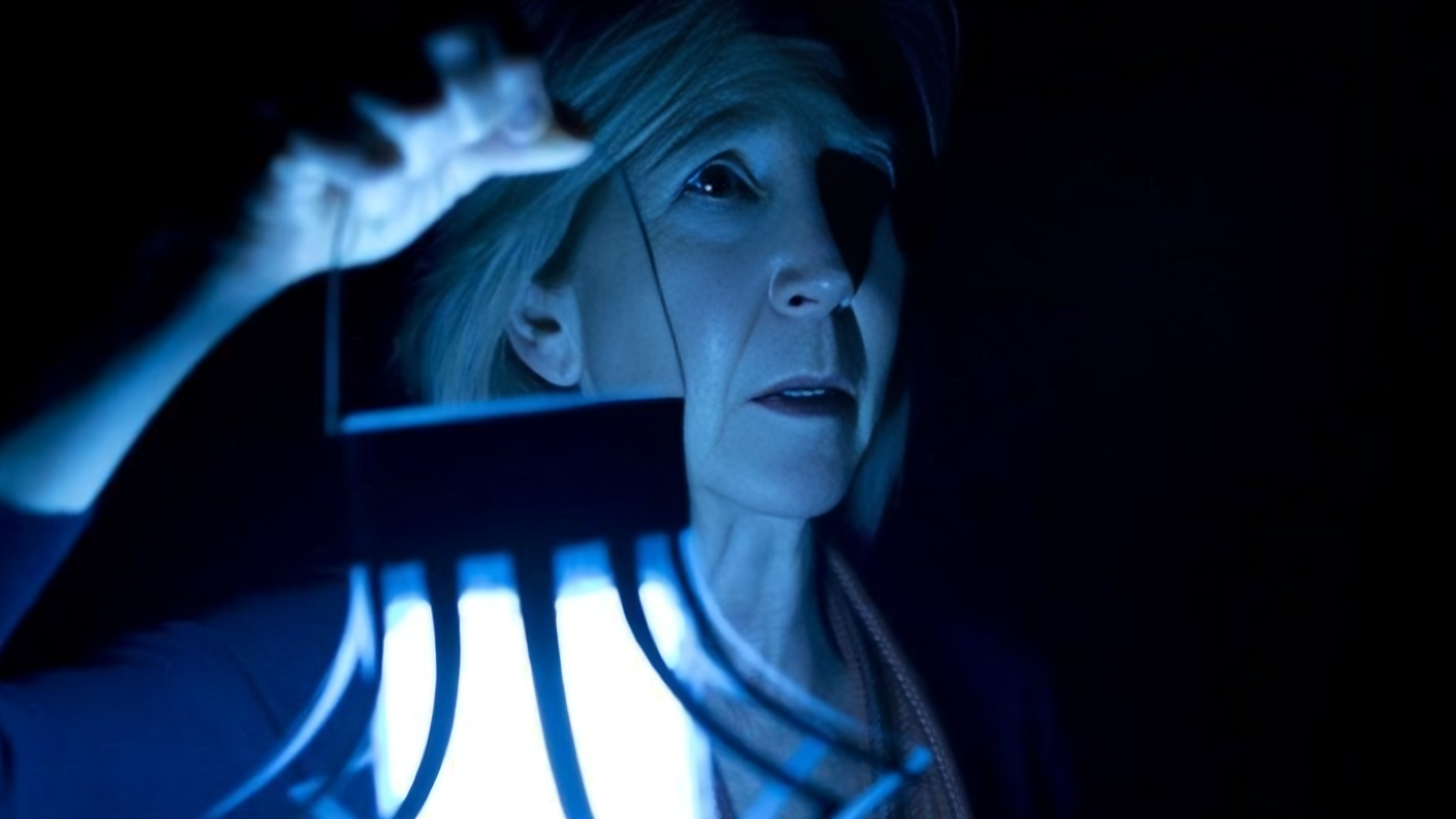 Lin SHaye