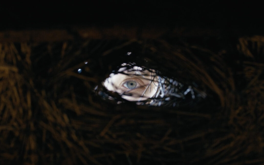 Spoiler-Free Review: SHAMAN