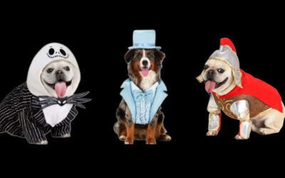 HalloweenCostumes. Com Has Killer Costumes for Your Pets!