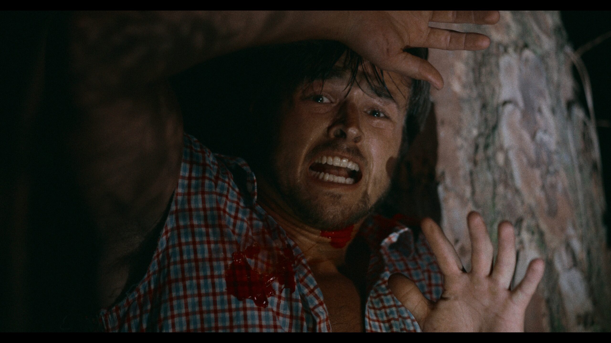 2 – Zach Boltz in BAD ASS BEAR