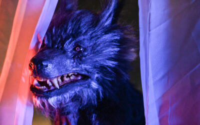 Gregory Lamberson’s Werewolf Movie ‘Frenzy Moon’