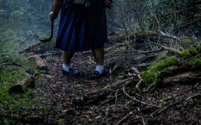 Spoiler-Free Reviews: MAG MAG and THE TURKISH COFFEE TABLE (FrightFest Halloween 2025)