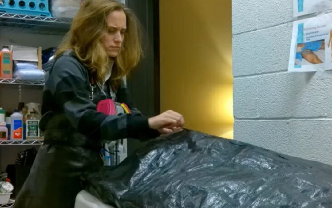 The Decedent: The Must-See Supernatural Horror Movie on Tubi