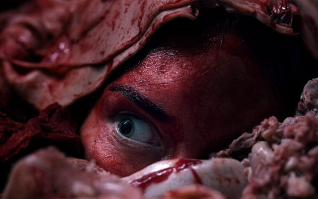 ‘Meat Kills’: The Dutch Horror Film Breaking Taboos and Records