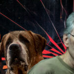 Stephen King adaptation