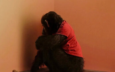 The New ‘Primate’ Featurette Goes from Sweet to Sinister in Seconds