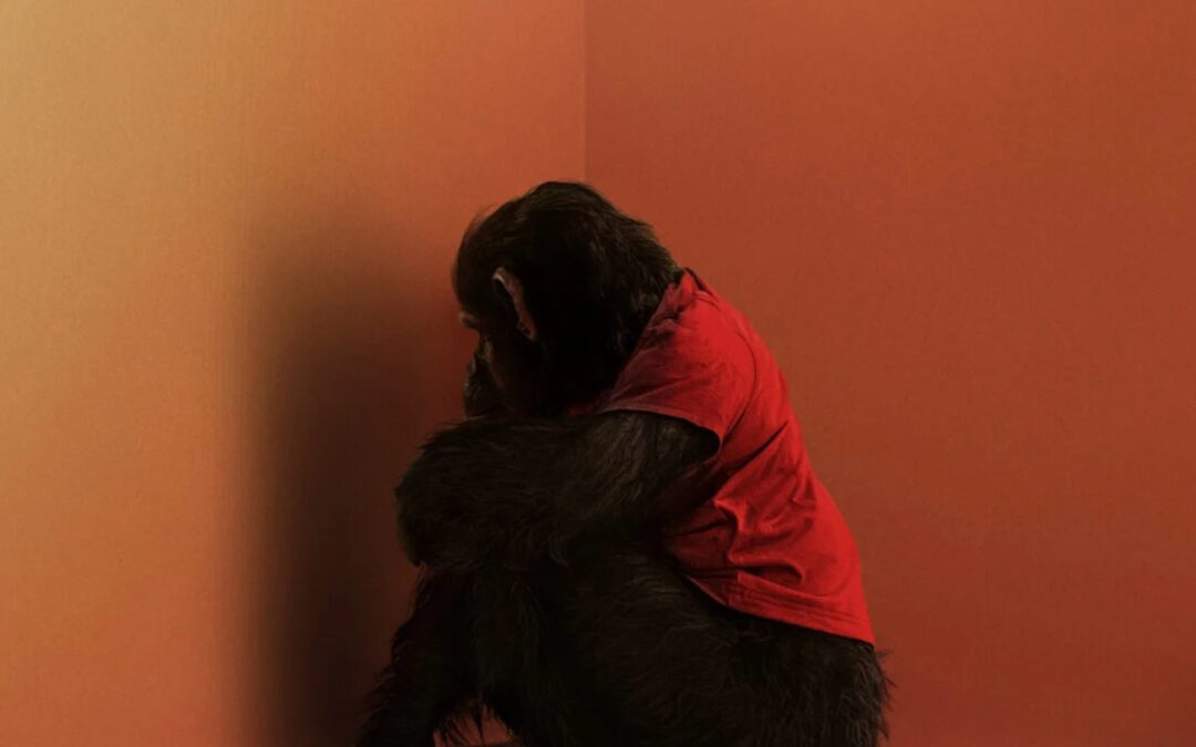 New Featurette Unleashed for ‘Primate’ Ahead of Premiere