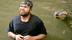 Ice Cube Anaconda 2025