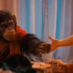 Primate movie