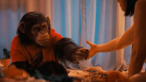 Primate movie