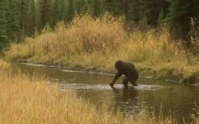 Spoiler-Free Review: AMERICAN SASQUATCH: MAN, MYTH OR MONSTER (2025)