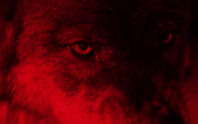 FrightFest Glasgow 2026 Lineup: Chills and Thrills Abound