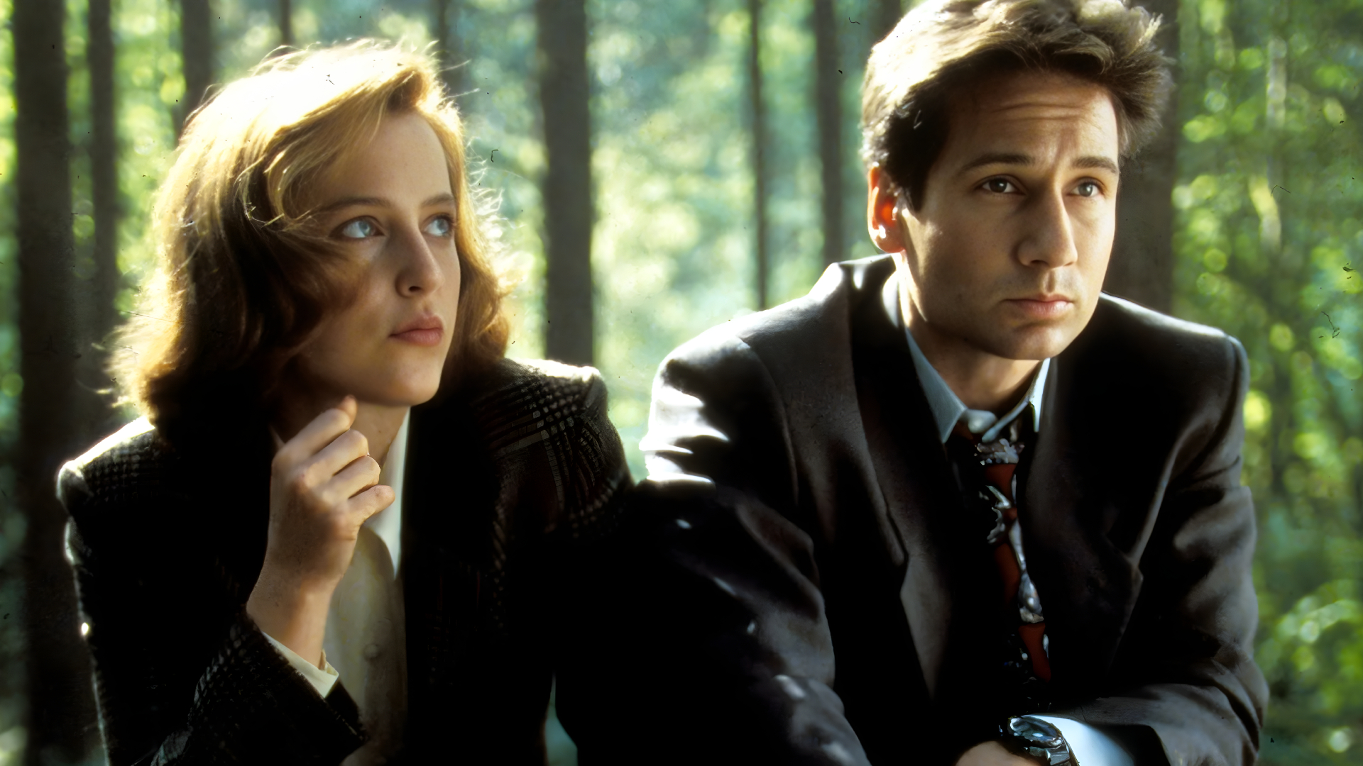 The X-files