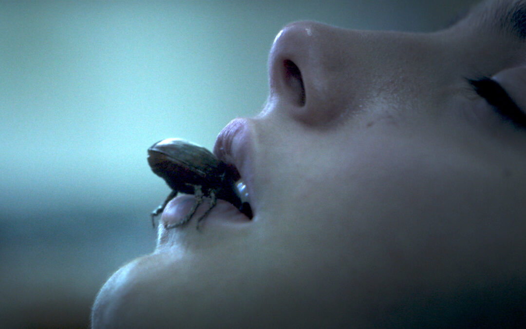 Possession Horror ‘The Containment’ Set for January Release