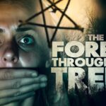 The Forest Through the Trees