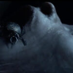 Lee Cronin's The Mummy clip