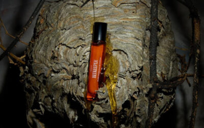 Heretic Parfum Unveils New Gothic Floral and Honey Scent, Beekeeper