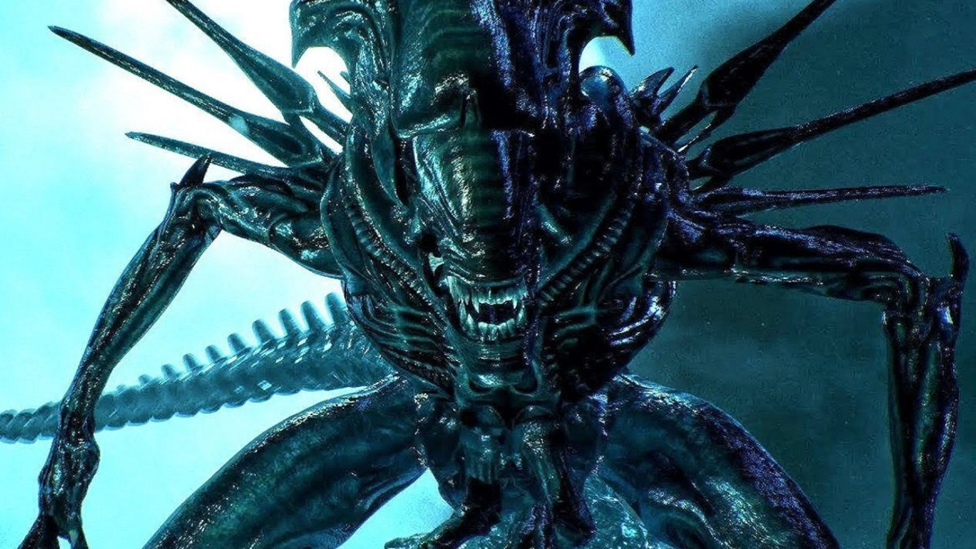 Every Alien Movie is Now Streaming on One Service and Weve Got Your Guide! - HorrorFuel.com: Reviews, Ratings and Where to Watch the Best Horror Movies & TV Shows