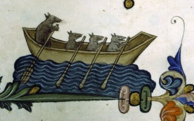 Hantavirus OR How I learned to stop worrying and understand the Virus!