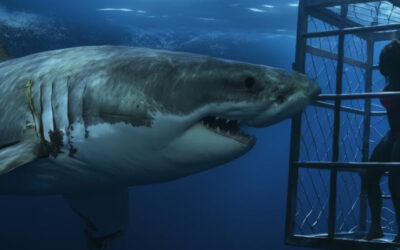 Sharks and Psychos: Alice Eve Stars in the Destination Wedding Nightmare, ‘CHUM’