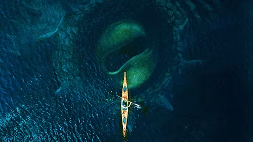 Does 'Kraken' Sink or Swim: A Spoiler Free Review