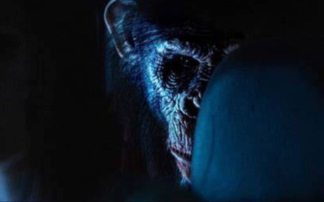 Movie Review: Primate is Brutal and A Bloody Good Cautionary Tale