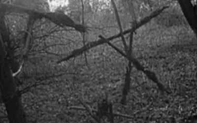 ‘Blair Witch Project’ Release Date Revealed Via Spooky Teaser
