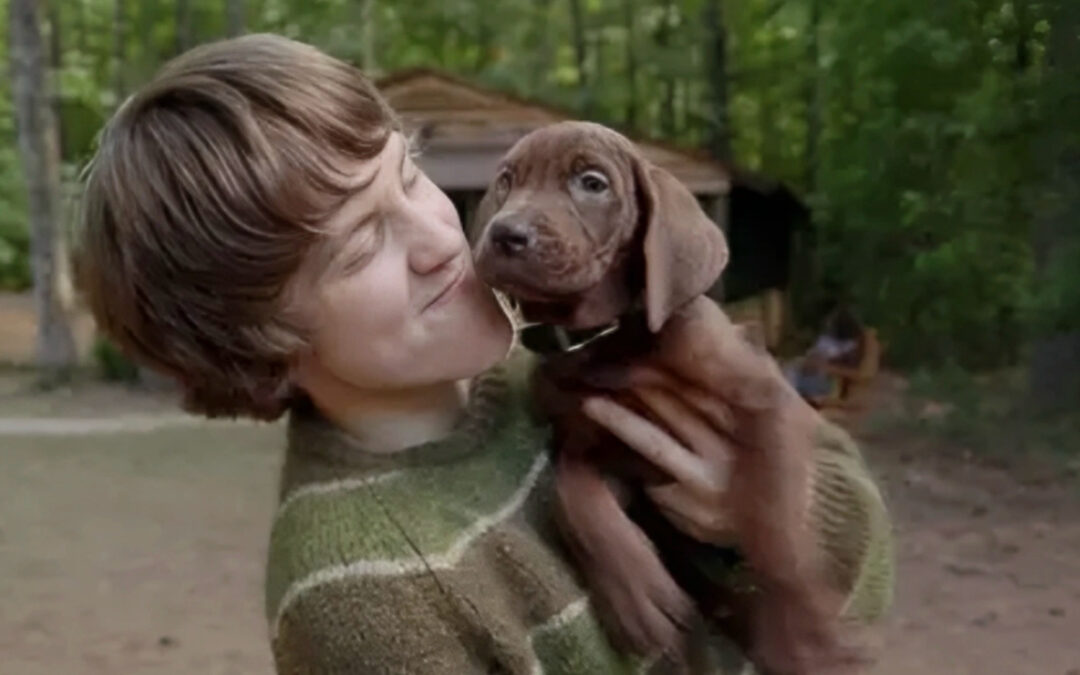 Jinkies! The First Look Teaser Unleashed for Netflix’s ‘Scooby-Doo: Origins’