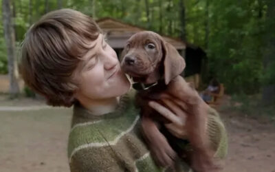 Jinkies! The First Look Teaser Unleashed for Netflix’s ‘Scooby-Doo: Origins’