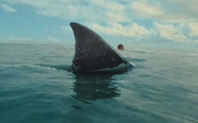 Dive Into the Trailer for the Practical FX Shark Movie ‘The Bay’