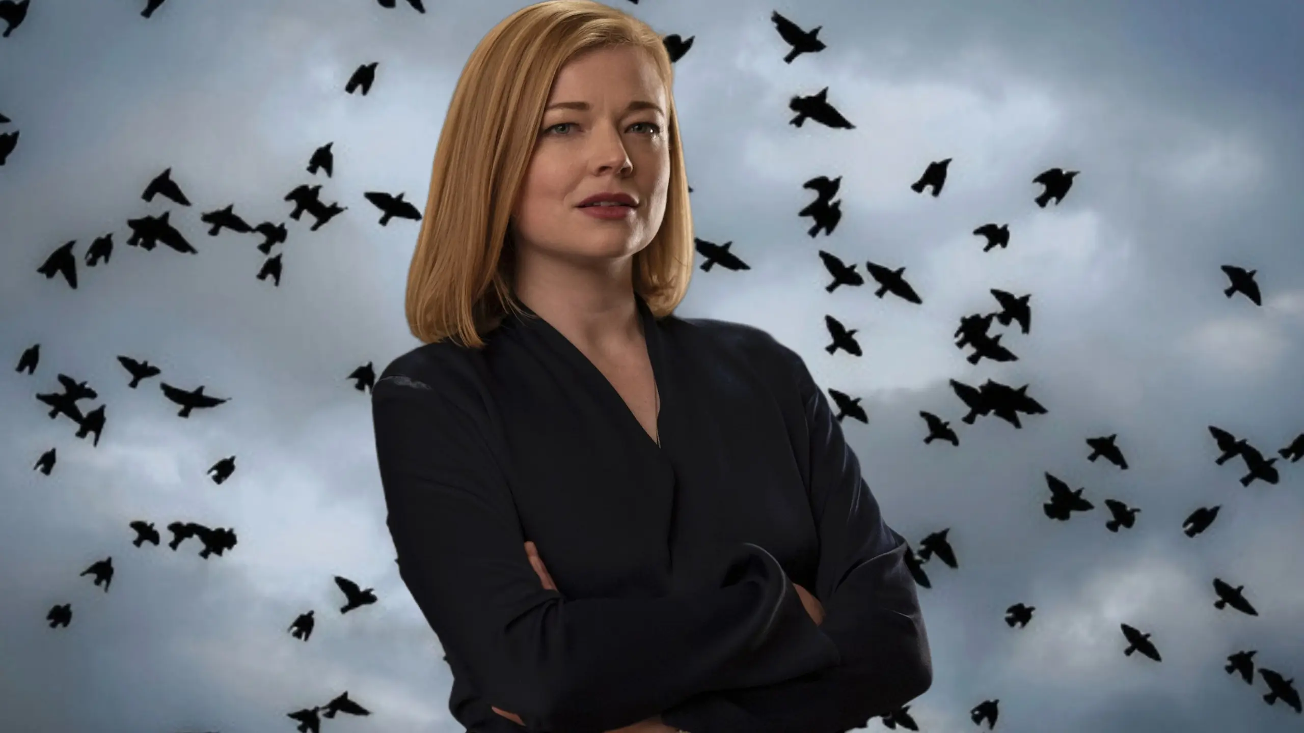 the birds show