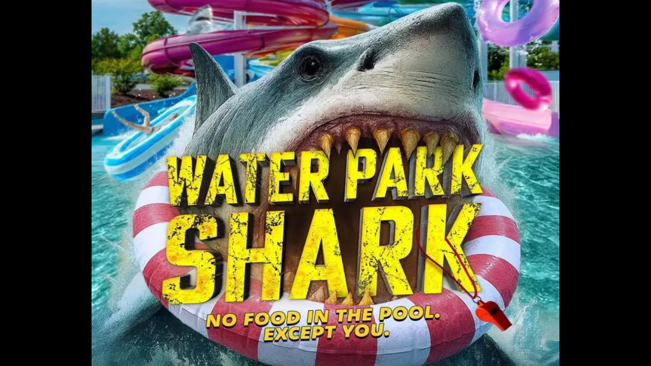 water park shark