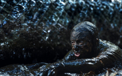 The Must-See Creature Feature of the Year, ‘Beware Boiúna,’ is Slithering into Theaters!