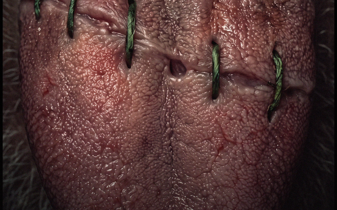 Azerbaijan Body Horror ‘Obitus’ Unleashes Deadly Parasites in New Trailer