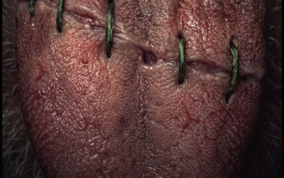 Azerbaijan Body Horror ‘Obitus’ Unleashes Deadly Parasites in New Trailer