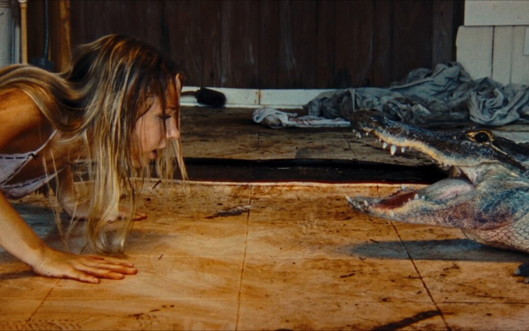 Spoiler-Free Review: Gator Face