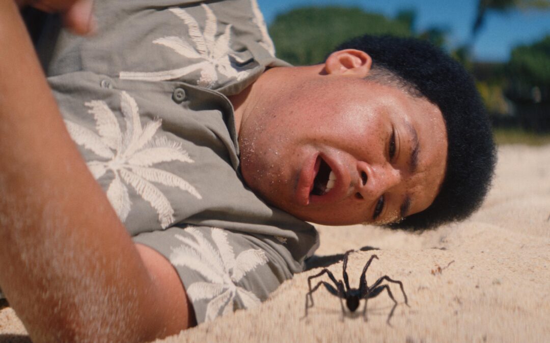 Spoiler-Free Review: Spider Island (Tubi FrightFest 2026)