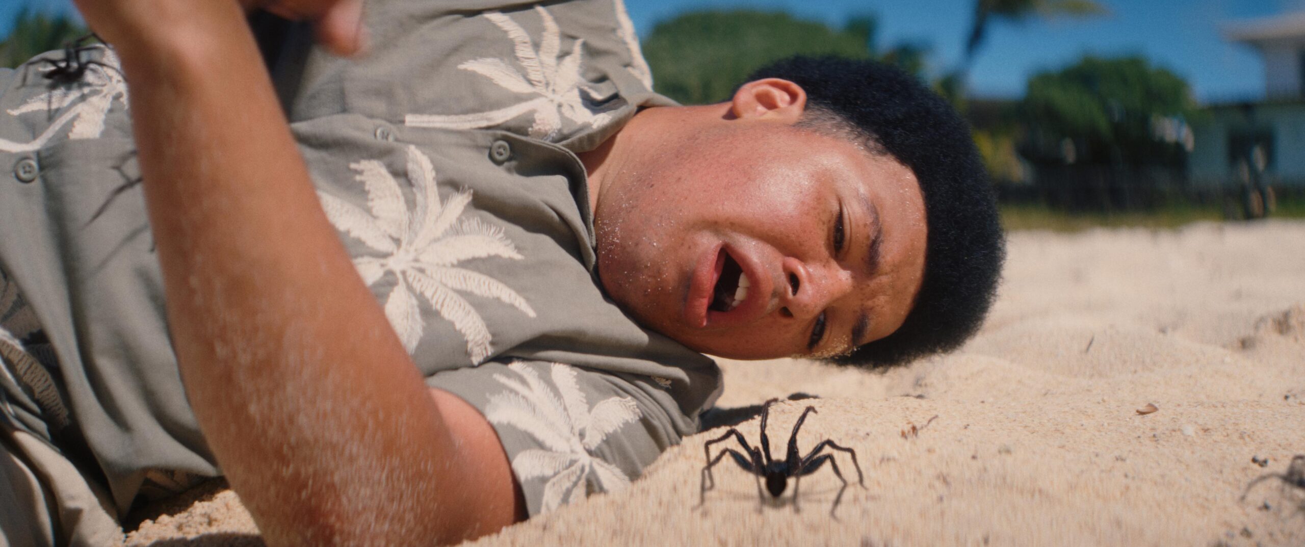 Spider Island still