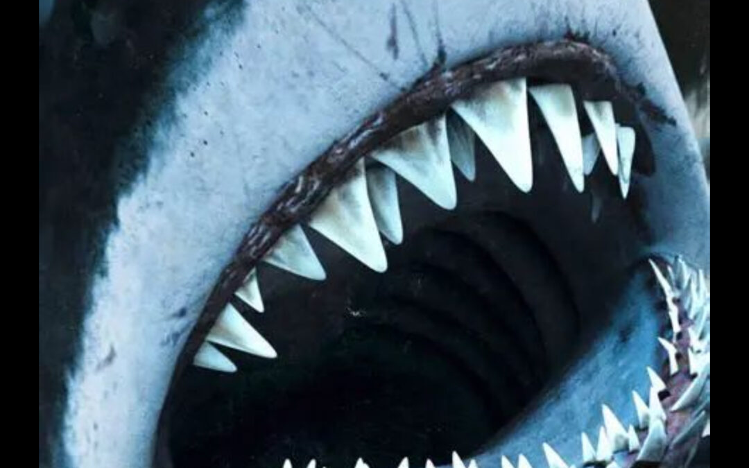 Tommy Wiseau’s ‘Big Shark’ Swimming onto Tubi as a Double Feature