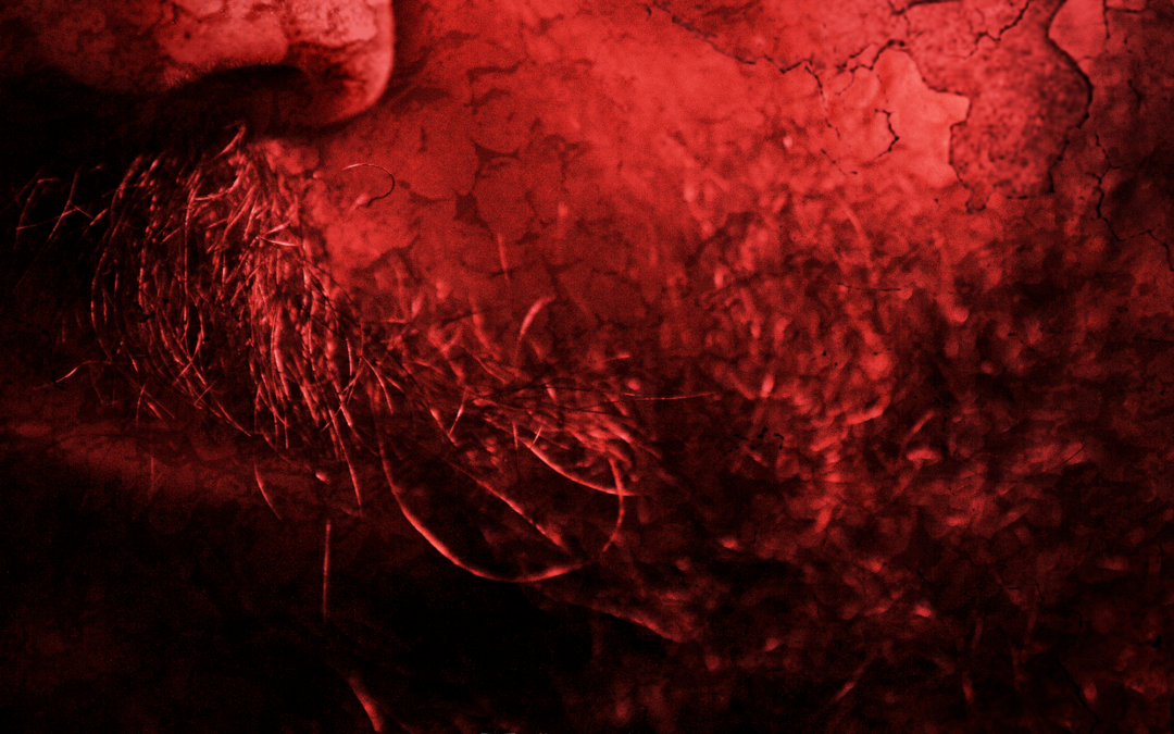 Surviving the Virus: ‘The Devil You Become’ Brings Post-Apocalyptic Terror This November